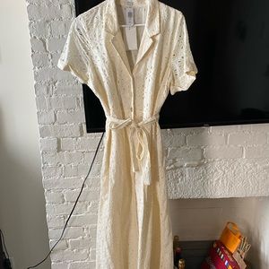Aritzia White Eyelet Dress (Wilfred)